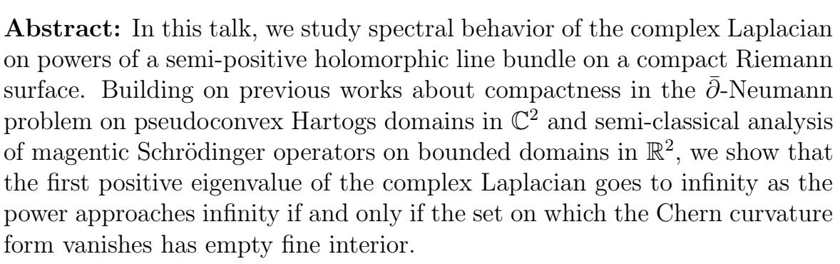 The Kohn Laplacian, Magnetic Schrödinger Operators, and Powers of Holomorphic Line bundles